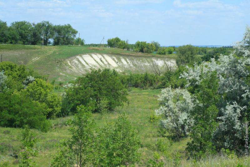 глава 8