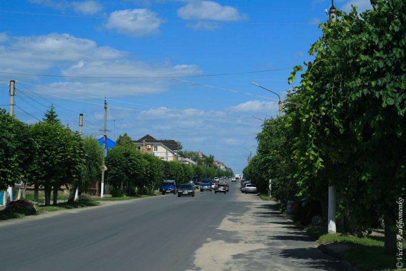 глава 8