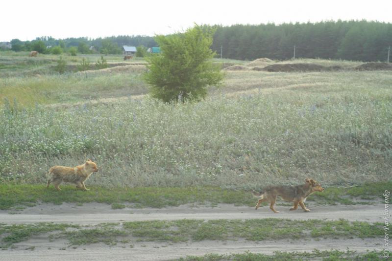 глава 13