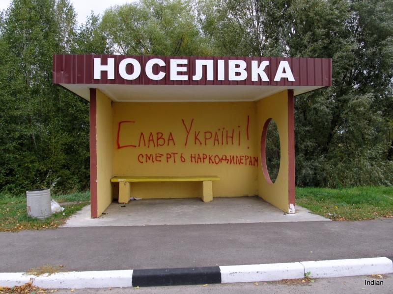 IMG 1700