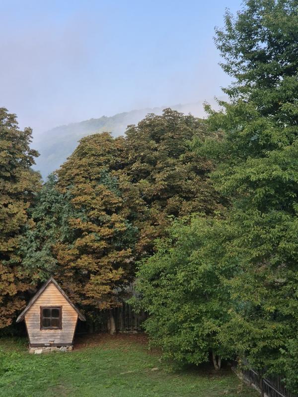 Вид з вікна