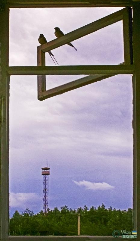 фото Пархоменко (33 из 79)