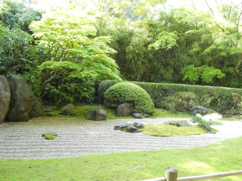DSCN3305