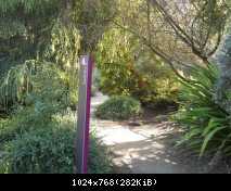 DSCN3313