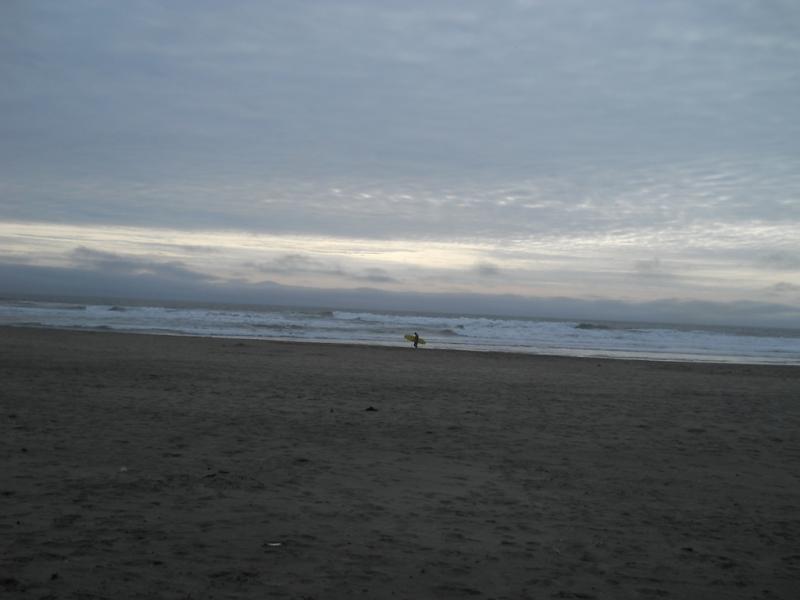 DSCN3368