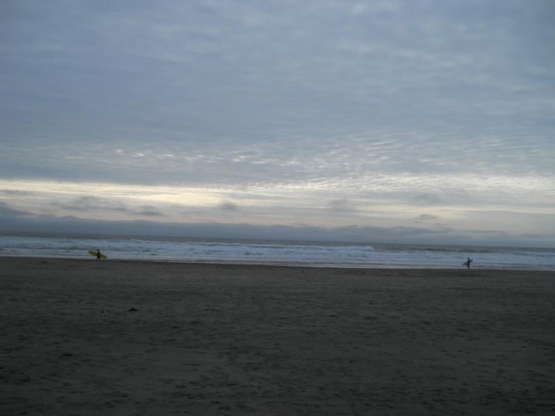 DSCN3369