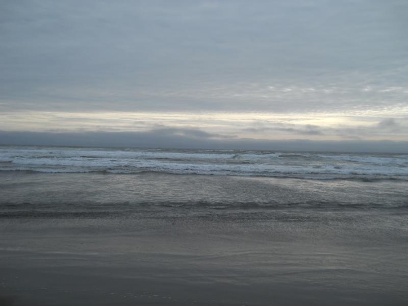 DSCN3370