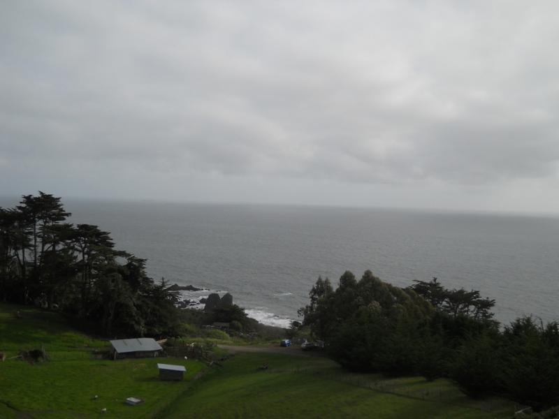 DSCN3542