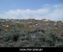 DSCN3689