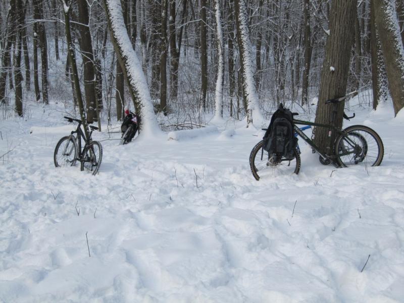2011.01.17.Зел.Гай.