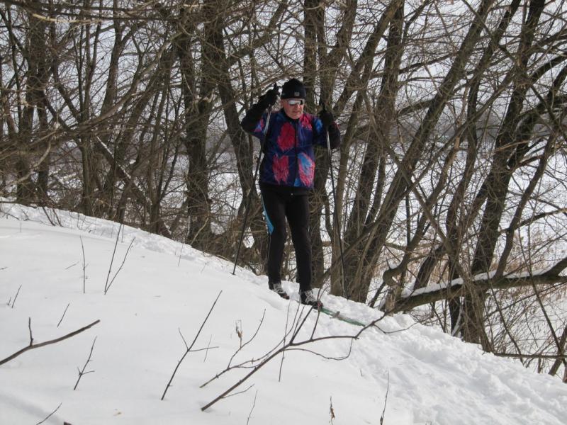 2011.01.30.На лыжах под Пслом.