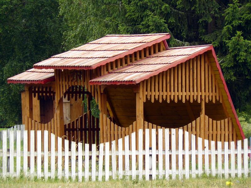 День шестой
