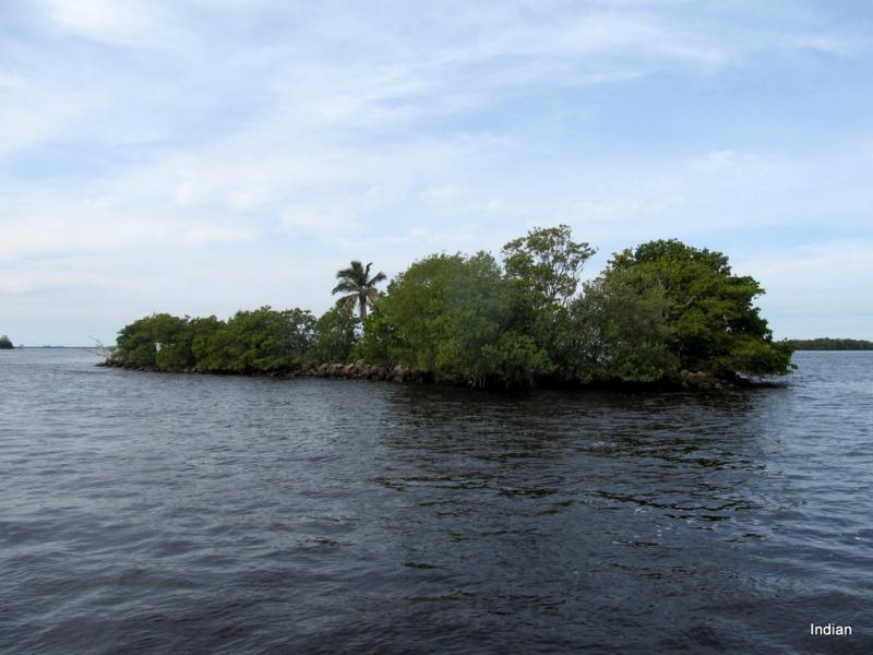 IMG 7343