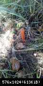 IMG 20170908 125720