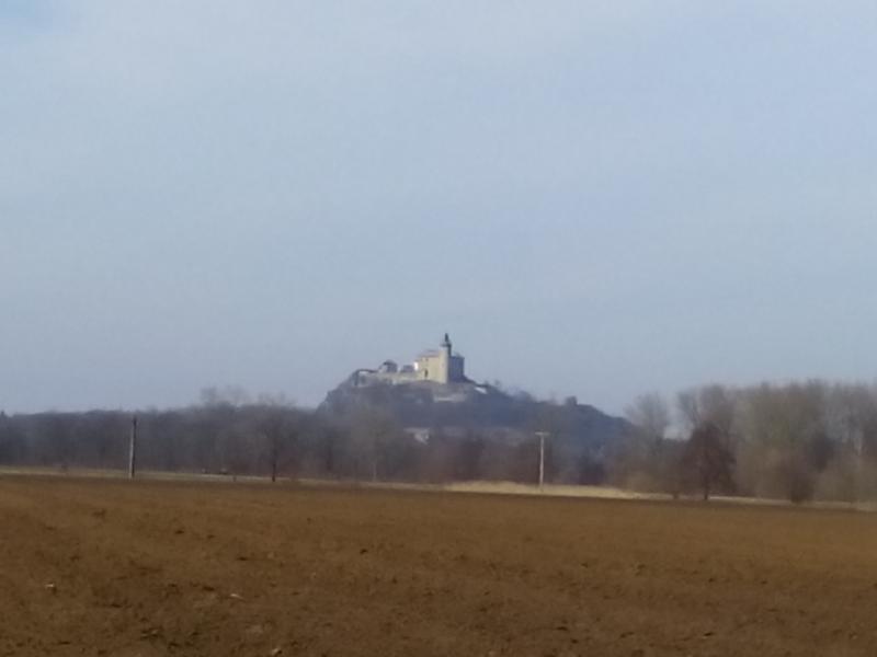 IMG 20180311 131718