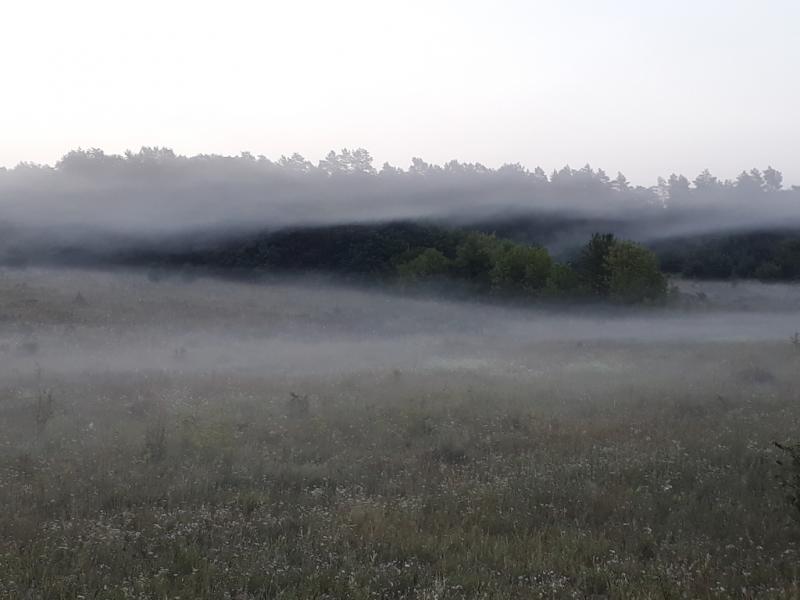 А туфли так и не высохли