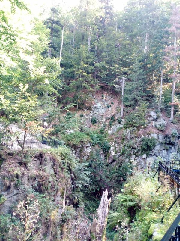 IMG 20190914 092135