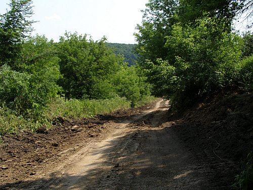 Сумы-Краснополье