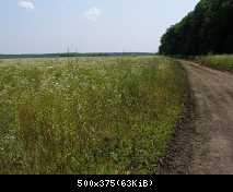 Сумы-Краснополье