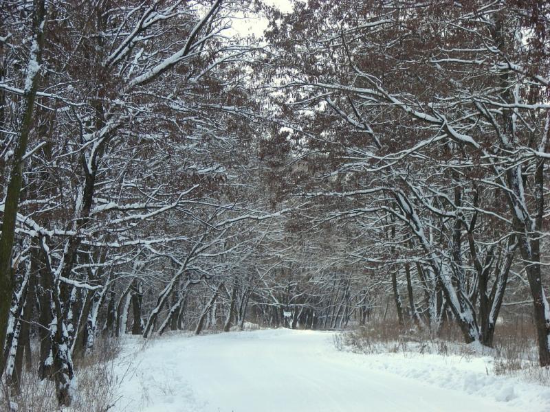 DSC04136
