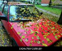 IMG 20161008 110647-п (Copy)