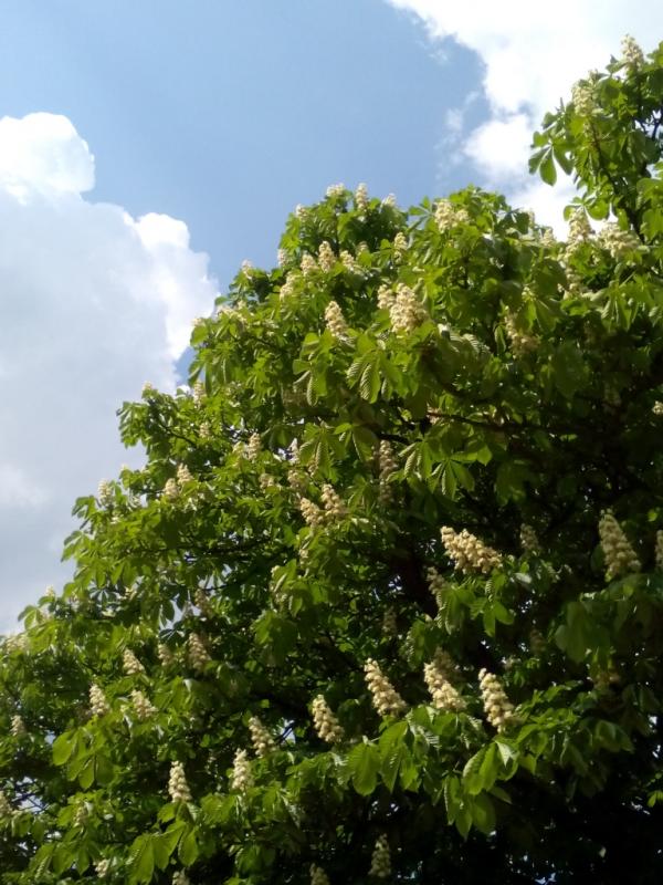 IMG 20180503 144044