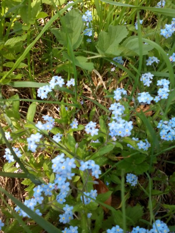 IMG 20180505 111420