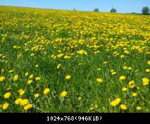 IMG 20180505 111451