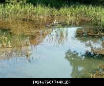 IMG 20180526 091101
