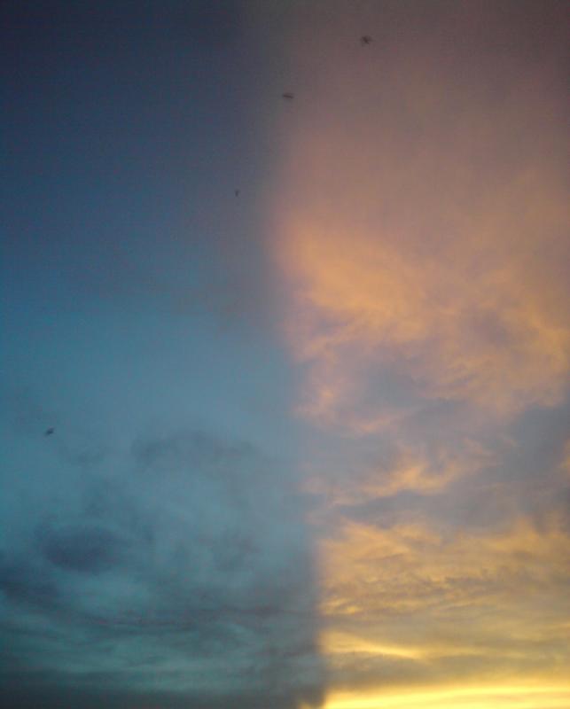 DSC00487