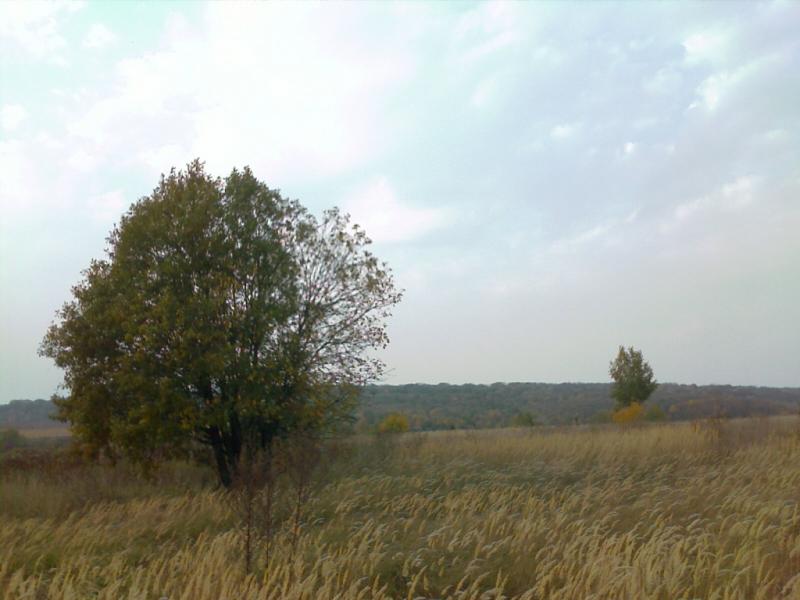 IMAGE 106