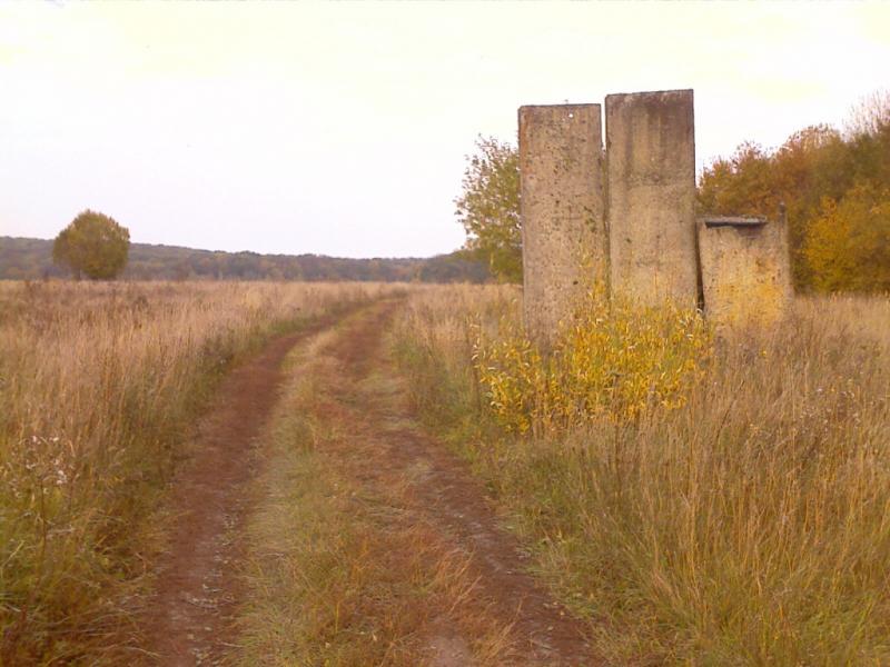 IMAGE 108