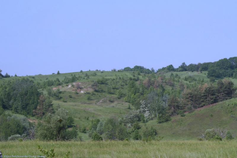 2012 год - Сумы-Лебедин-Шаровка-Ахтырка-Краснополье-Сумы
