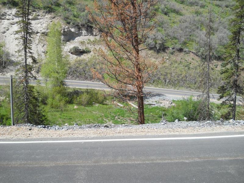 DSCN3819