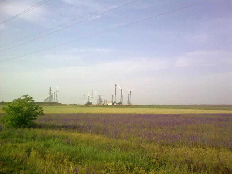 День 7